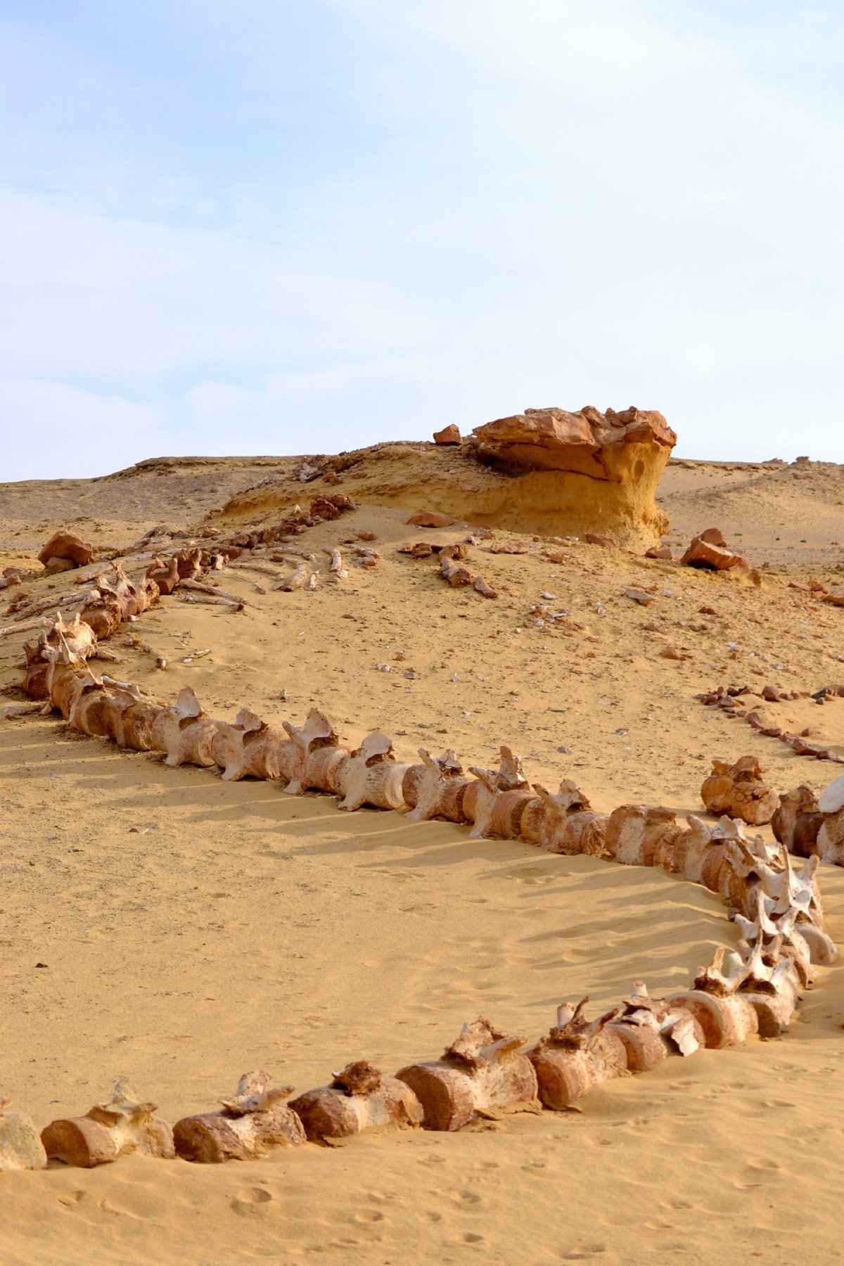 best things to do in egypt